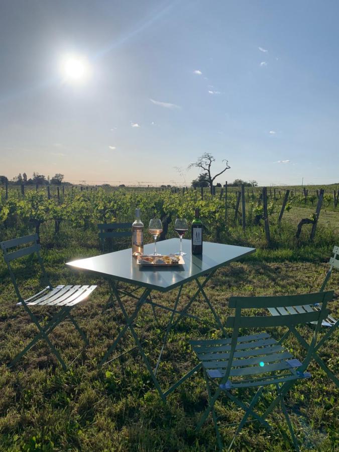 Maison Divon Montagne  Zewnętrze zdjęcie